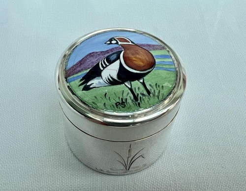 Fine sterling silver enamel - &,