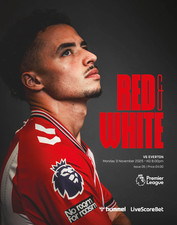 Sunderland v Everton - FA Premier League - 03 November 2025 - Mint Condition