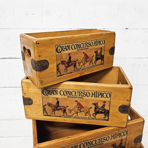 Horse dressage vintage box - horse,