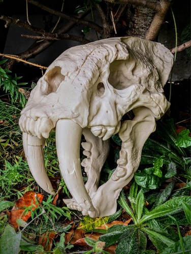 Printed saber tooth tiger - saber,