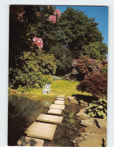Postcard the golden orfe pool - the,