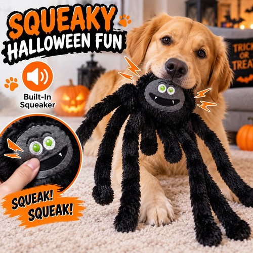Halloween spider dog - spider, toy