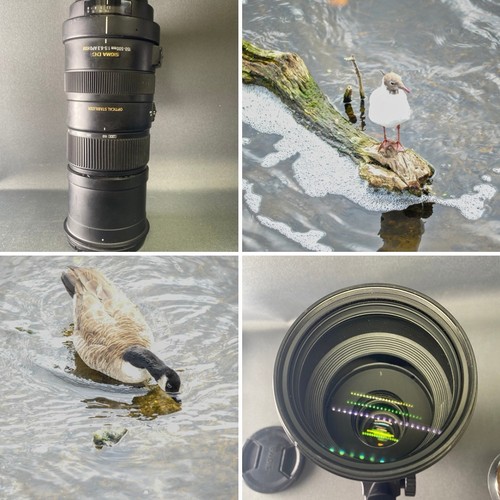 Sigma 737955 apo 150 500mm - 737955, 150-500mm