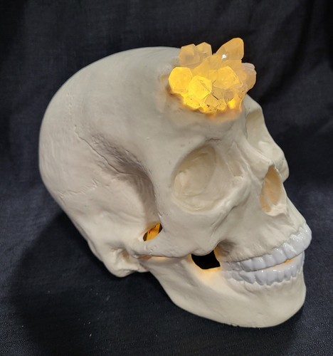 Human skull crystal skulls - skull,