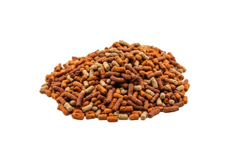 10kg premium koi - premium, food