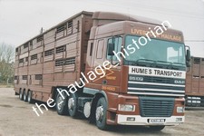 Thh truck photos daf - photos, 95xf