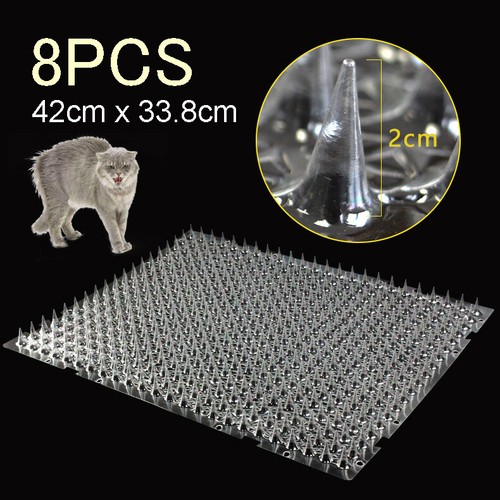 Pack cat scat mat - pack,