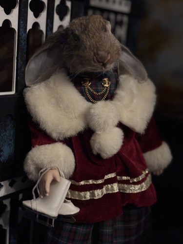 Wild rabbit roadkill taxidermy - wild,