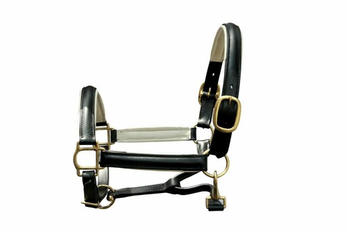 Leather padded head - leather, collar