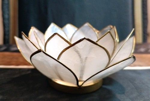 White capiz shell lotus - shell, flower