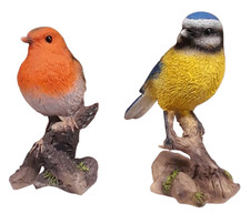 Robin Or Blue Tit Bird