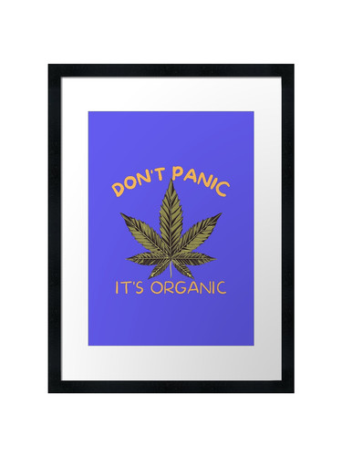 Don panic organic 8 - panic,