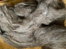 Washed and carded Jacob &