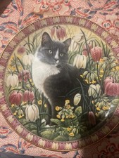 Decorative Cats by Anne Ivory