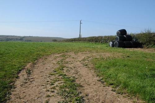 Photo 6x4 silage bales a - photo,