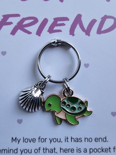 Cute turtle and shell pocket - cute,