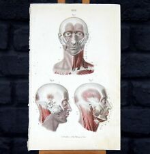 Antique 1886 Dr Fau's Anatomy