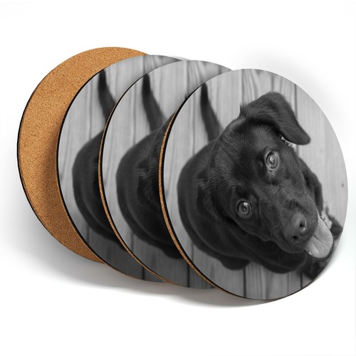 Coasters bw chocolate - ,