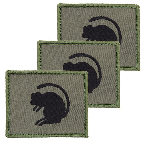 4th brigade combat - 4th, olive