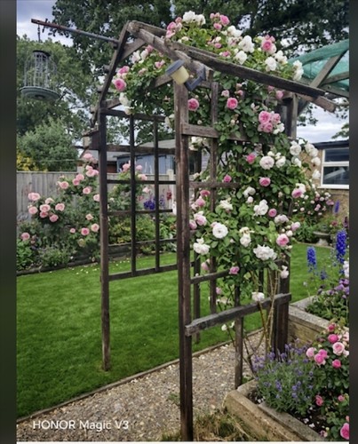 Wooden garden arch - wooden, rose