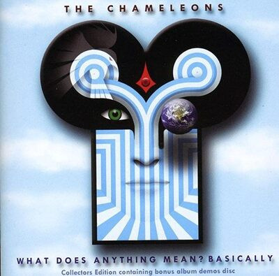 The chameleons what - :,