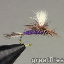 1 dozen (12) - Purple Haze -