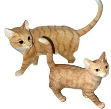 Pair of Beautiful Ginger Cat &