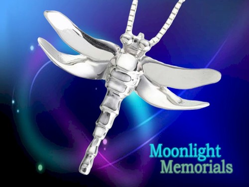 New dragonfly body - 3d,