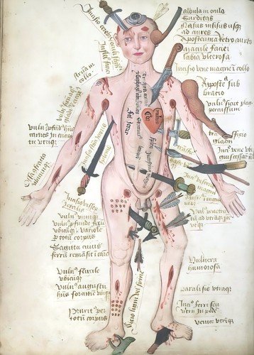 Anatomical illustrations 15th - anatomical,