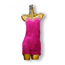 Lot Latin Dance Fringed Dress