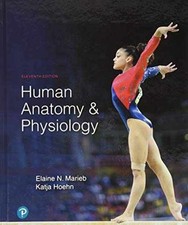 Human Anatomy & Physiology -