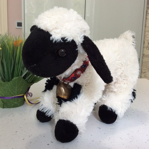 Cute black faced lamb sheep - sheep, +