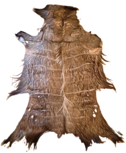 Lowland nyala full - lowland,