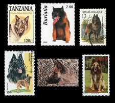 BELGIAN SHEPHERD DOG TERVUREN