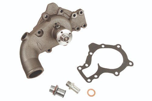 Jaguar type water - jaguar,