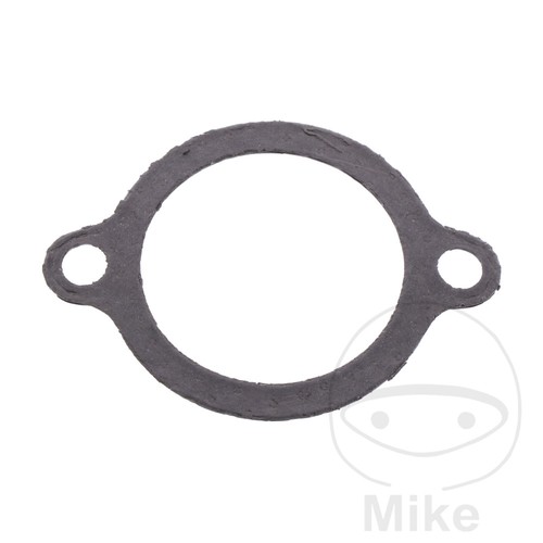 Manifold gasket