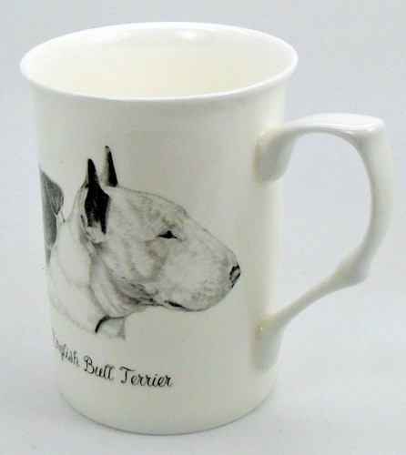 English bull terrier - ~,