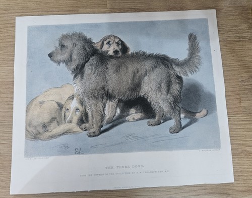 Antique 1880 steel - 1880, engraving
