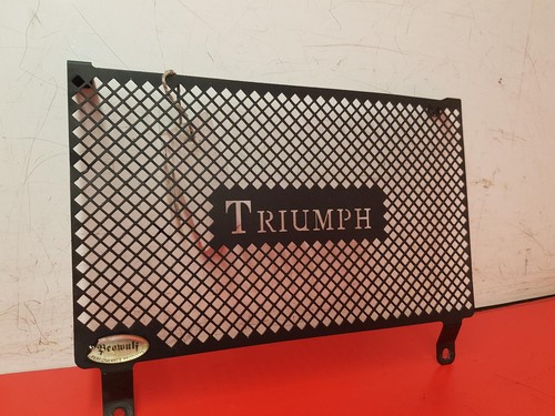 Triumph tiger 1050 radiator - triumph,