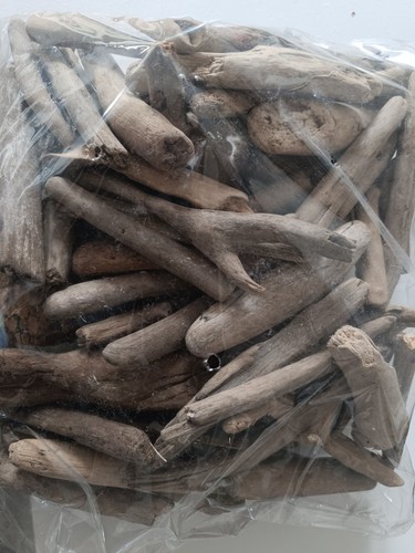 Dried smooth driftwood pieces - smooth,