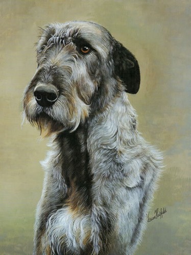 Irish wolfhound print brian - wolfhound,
