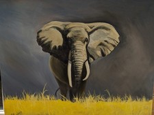 (Wise Old Elephant)  Stunning