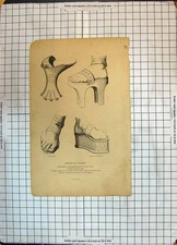 Original Old Antique Print