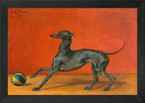 Greyhound ball vintage - greyhound,