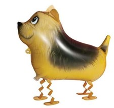 YORKSHIRE TERRIER WALKING