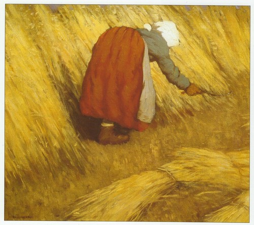 Achill woman cutting rye - achill,