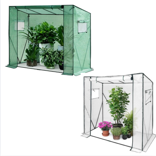 Tomato greenhouse walk - greenhouse, walk-in