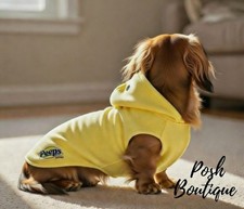 Yellow Peeps Dog Costume Chick