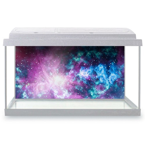 Fish tank background - background,