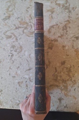 Punch magazine 1895 - punch, jul